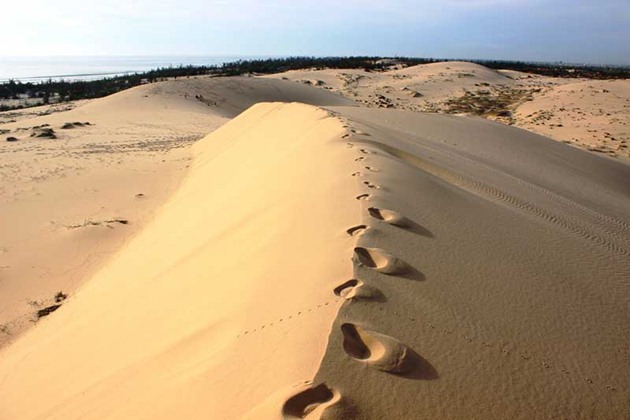 đồi cát quang phú- quảng bình