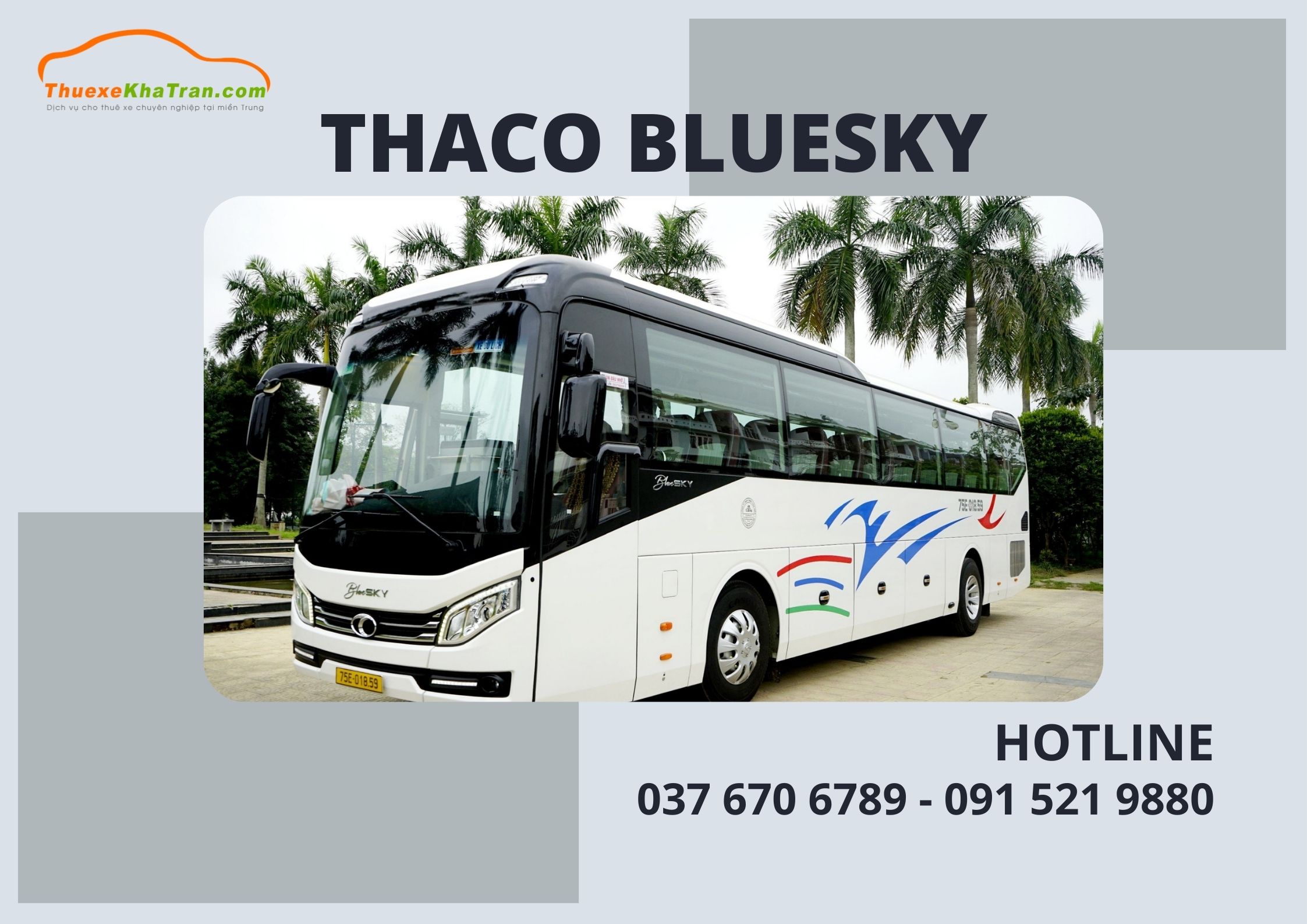 Thaco Bluesky 47 chỗ – Lựa chọn hàng đầu cho nhu cầu Thuê xe du lịch